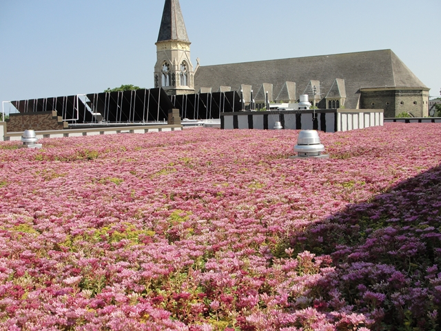 Olga Village green roof with solar panels