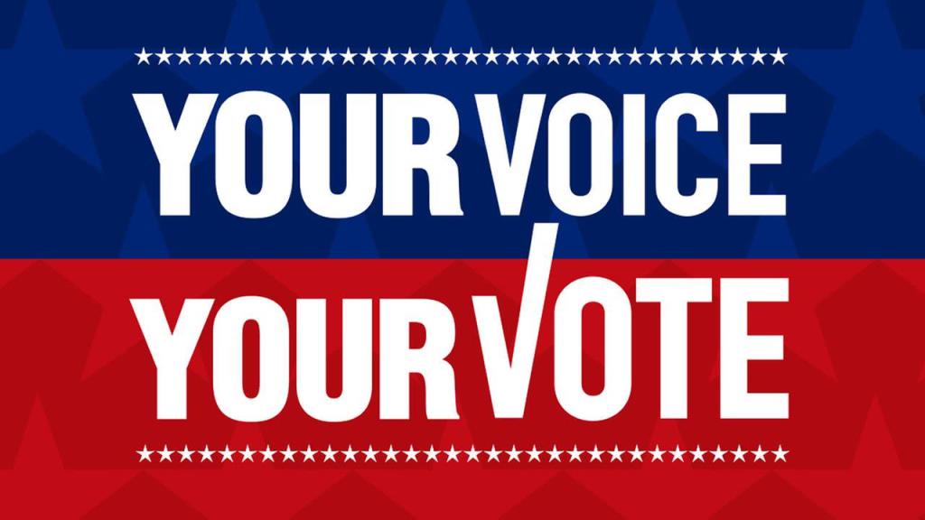 your voice your vote