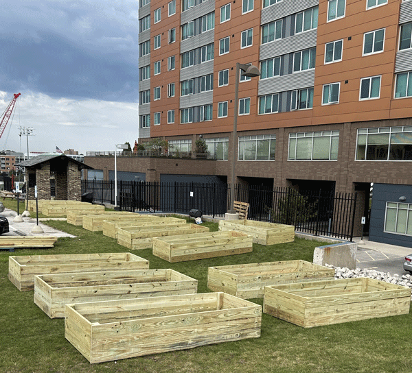 Convent-Hill-Garden-Beds